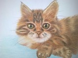 by Stella Colhoun