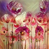 by Ariella Star