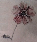 by Dana Koffenberger