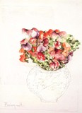 by Jessamines Garden