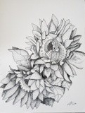by Angella Reynolds-Screen