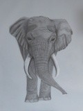 by David Bethea