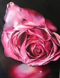 by Adriana Rota