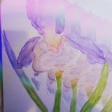 by Brenda Webb Winters