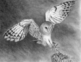 by John Houle