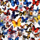 by Mihaela B