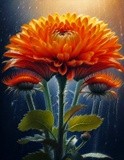 by SA KOONTZ