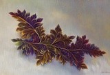 by John H. R. Pieper
