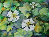 by Dianna Simms