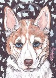 by Kelley Badgerow