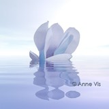 by Anne Vis