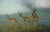 by J.H. (Jerry) Johnson