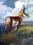 by J.H. (Jerry) Johnson