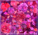 by Nira Dabush