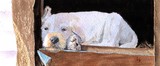 by Yvonne Carter