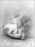 by Katerina Koukiotis