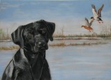 by Katherine Taylor-Green