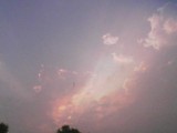 by Brandon 