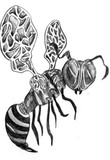 by LeMae Morrissey