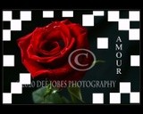 by DEE JOBES PHOTOGRAPHY