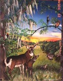 by Terri Walker