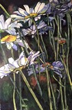 by Caroline A. Doucette