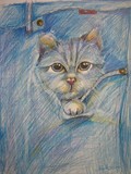 by Brigitte  Hintner