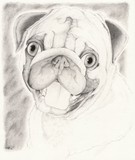by MaKayla Songer