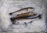 by ria van meijeren