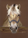 by Jennifer Redstreake