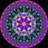 by Orchid Mandala