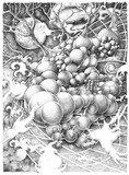 by stephen tulloch