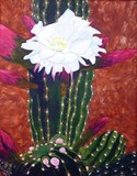 by Diana Moissonnier