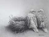 by Robert McCoy