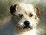 by susan  kinney