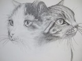 by gary wood