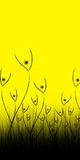 by asif ali