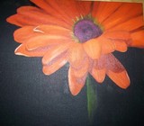 by Sandra Laverty