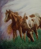 by Tami Dykes
