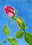 by Tracey  Riedel