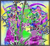 by Barry Huyett