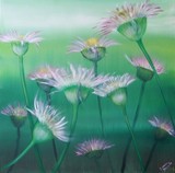 by Suzana Dancks