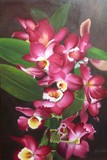 by Sandy Dewar
