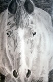 by Wendi Evans