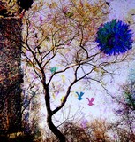 by Cindy