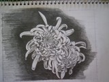 by lauren miller