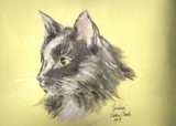 by Kathy Cheek