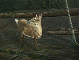 by Sue Johnson