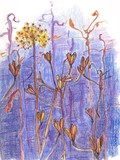 by cathie richardson