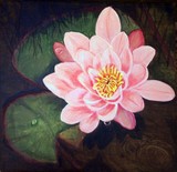 by Susan Richards